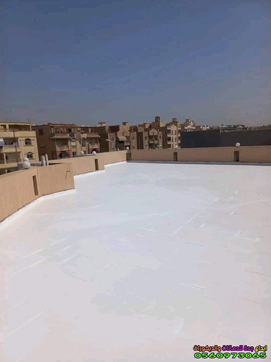 شركه عوازل مائيه للاسطح من تسرب المياة في جده